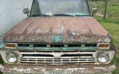 Ford F100 1965