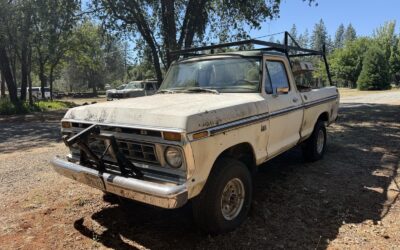Ford F100 1973