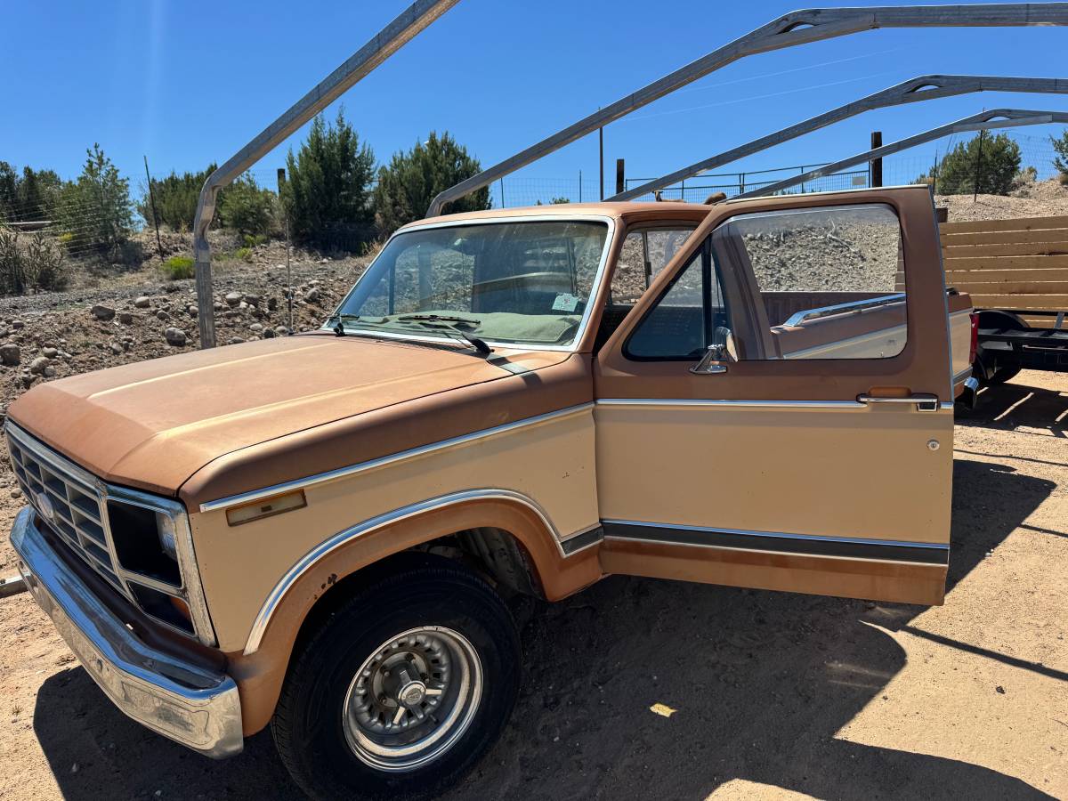 Ford-F100-pickup-1982-brown