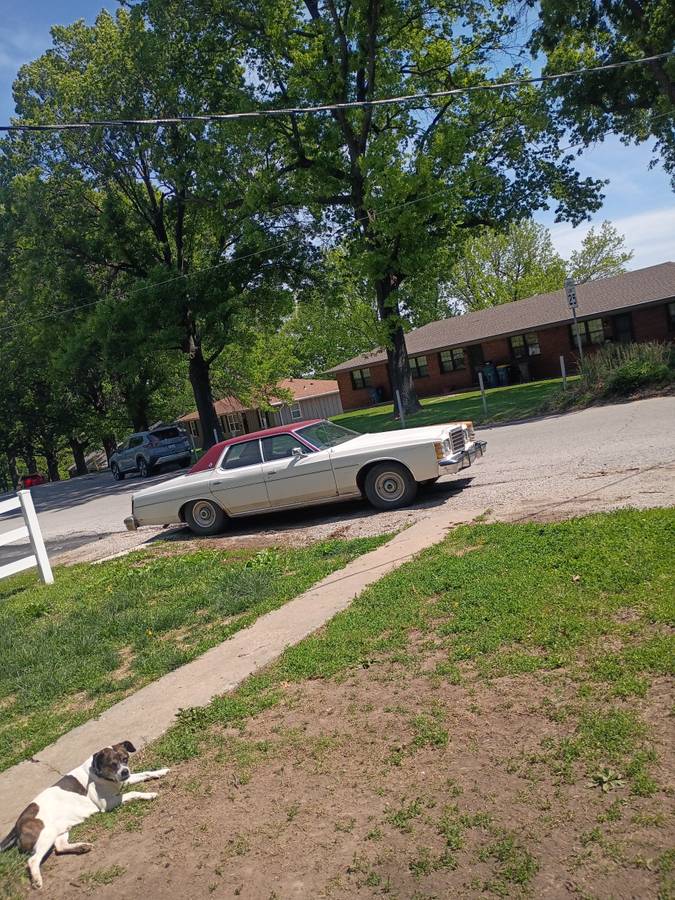 Ford-Ltd-1978-white