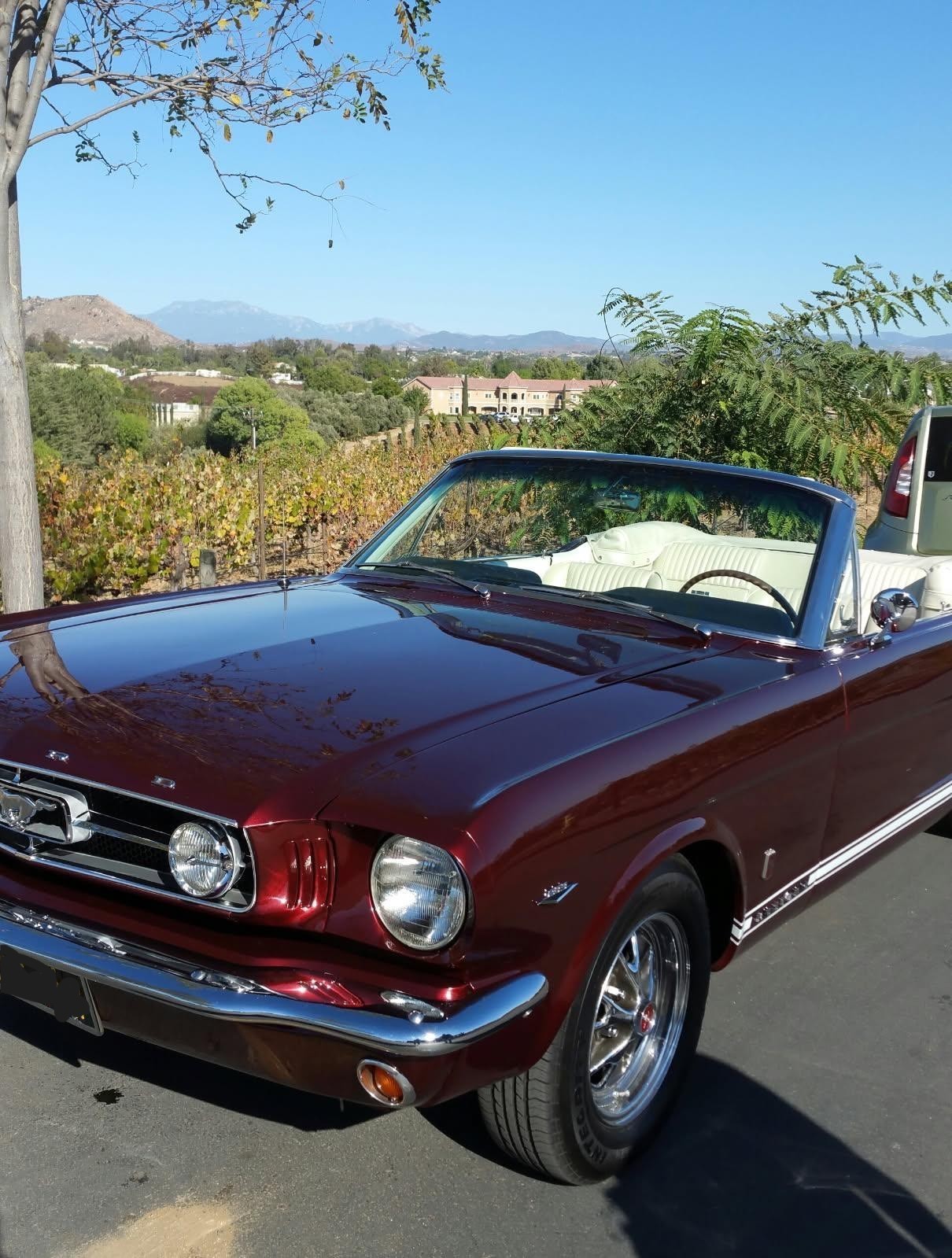 Ford Mustang 1965