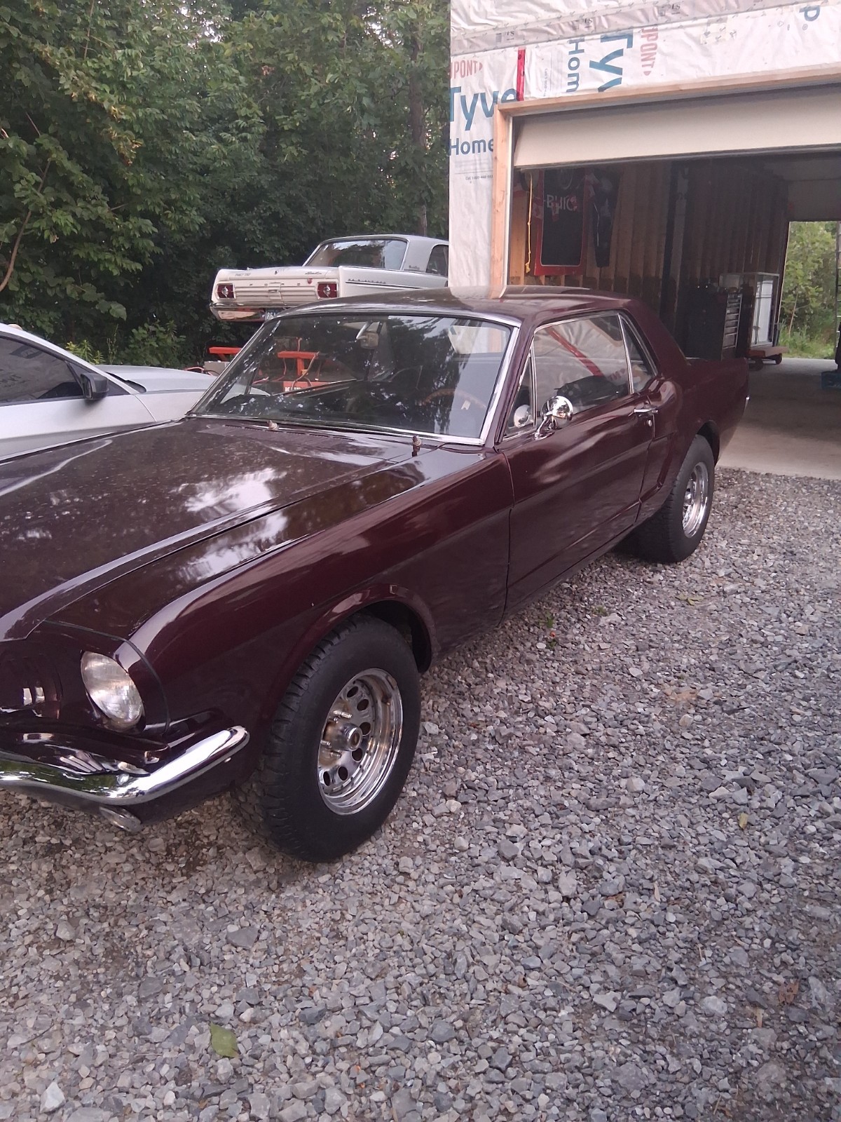 Ford-Mustang-1965-Coupe-Black