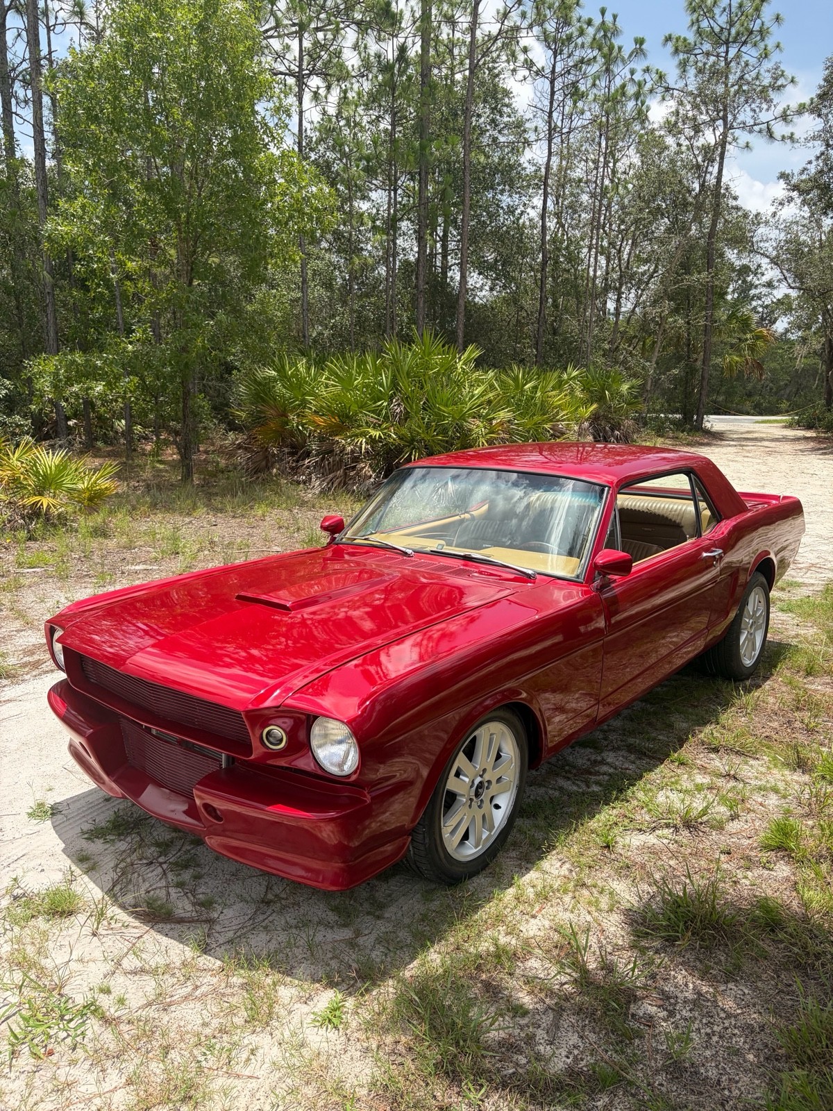 Ford Mustang 1966