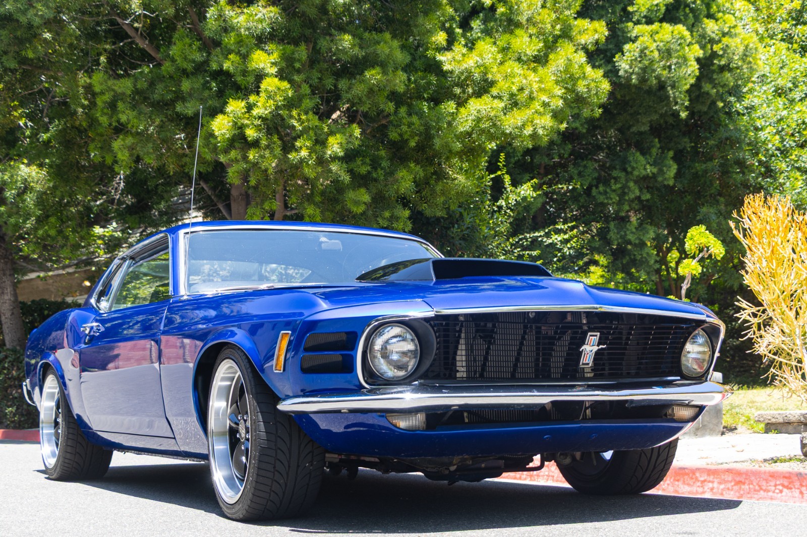 Ford-Mustang-1970 Ford Mustang 1970