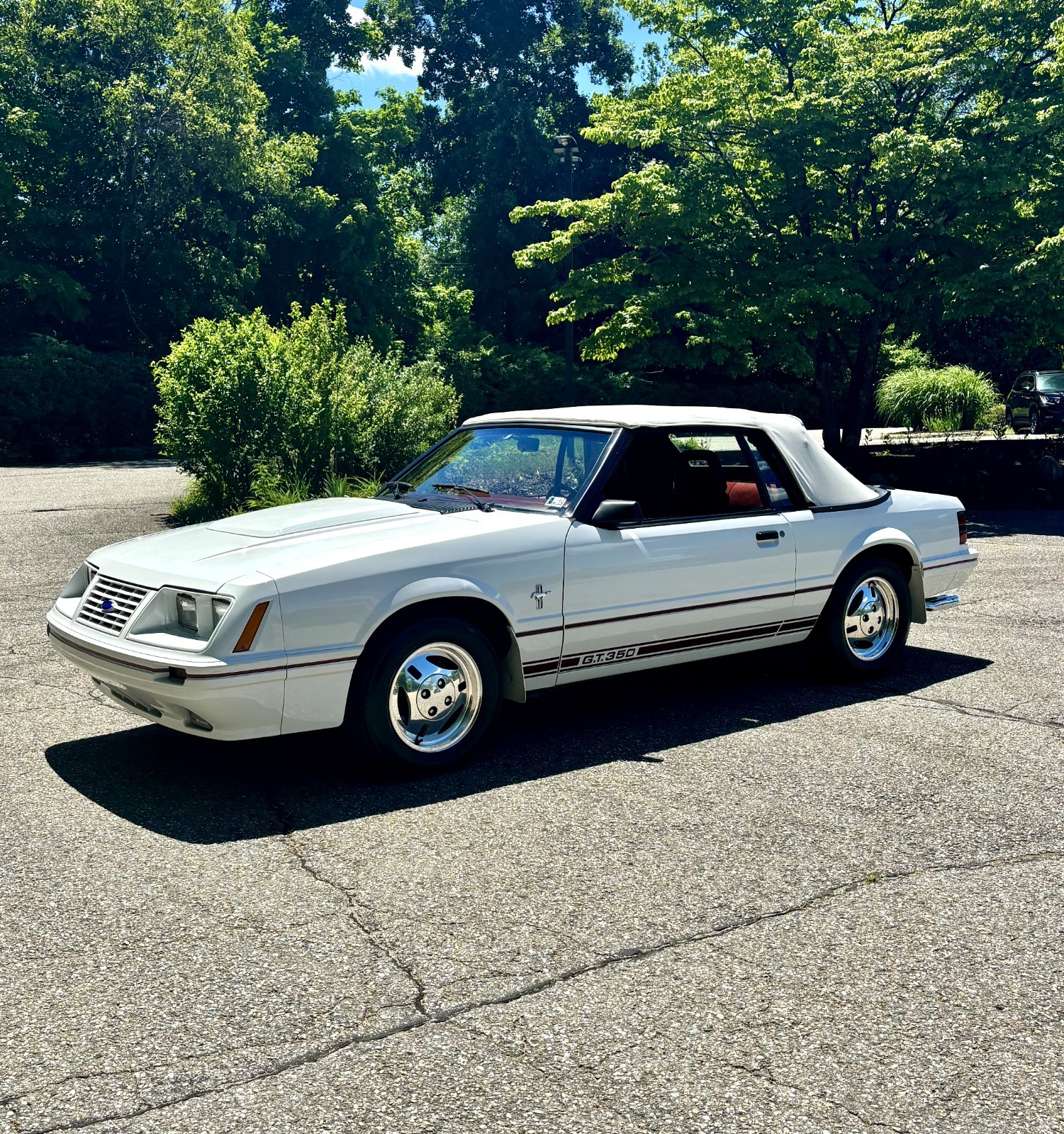Ford Mustang 1984