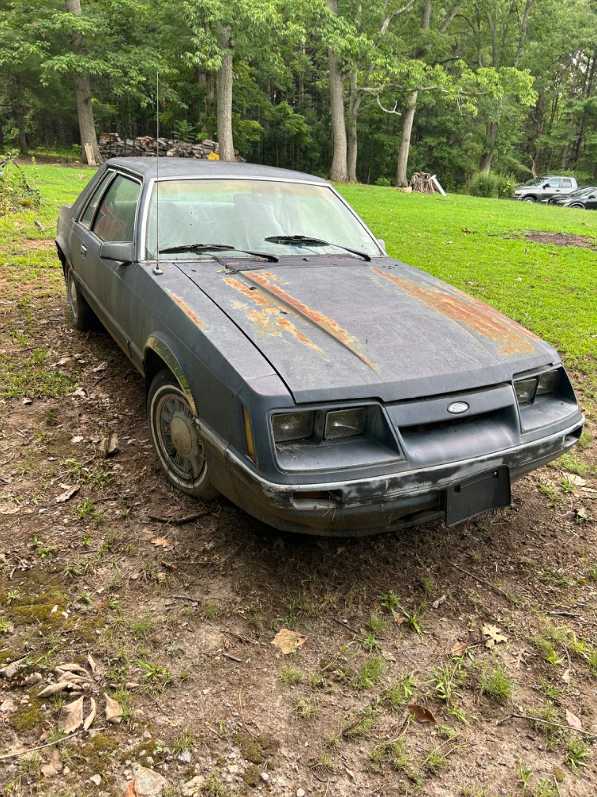 Ford-Mustang-1986-Coupe-Blue