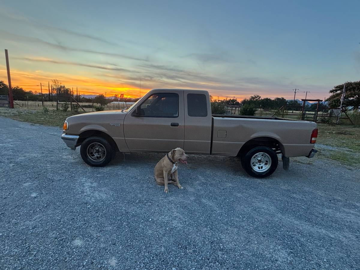 Ford-Ranger-1994-brown