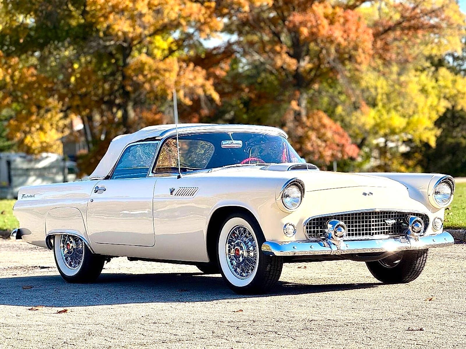 Ford Thunderbird 1955
