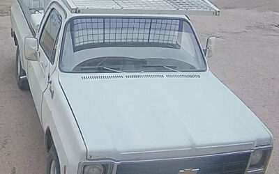 GMC Sierra 1500 1979
