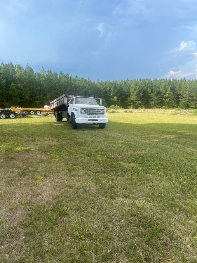 Gmc-Sierra-c7000-1981-white