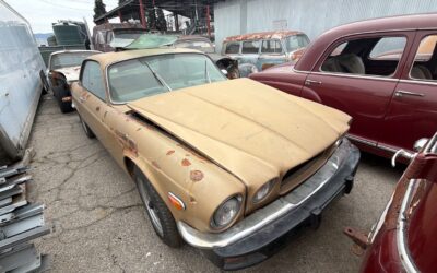 Jaguar  1975