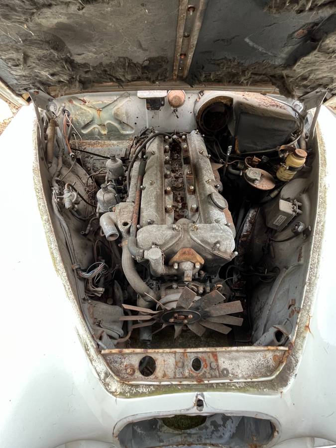 Jaguar-3.8-s-type-1964-white