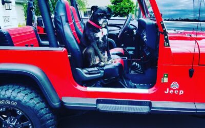 Jeep Wrangler 1992