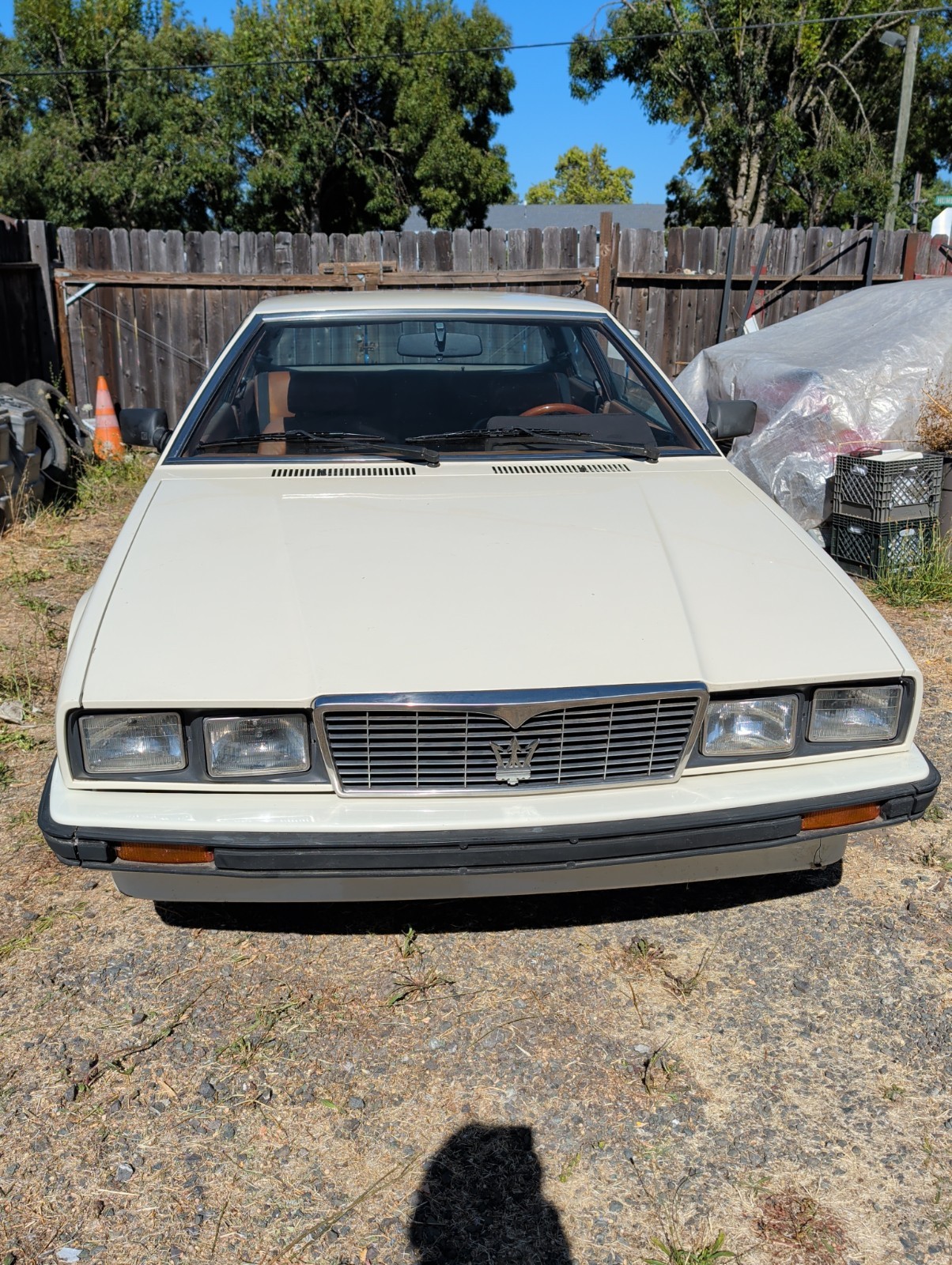 Maserati Coupe 1984