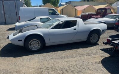 Maserati Other 1979