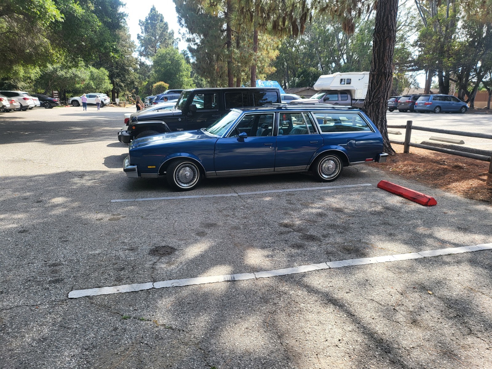 Oldsmobile-1978-Wagon-Blue