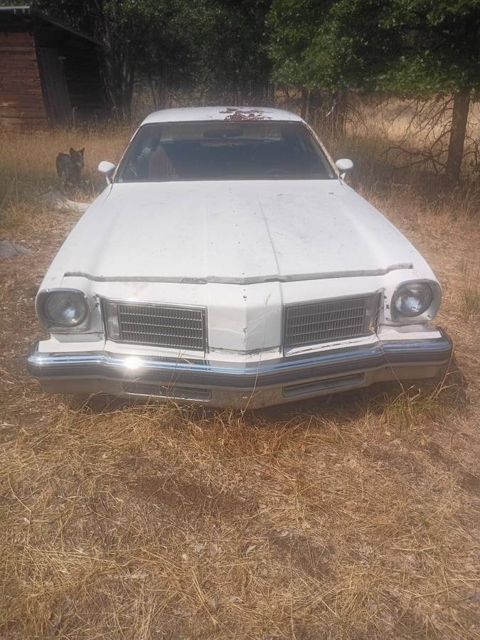 Oldsmobile-Cutless-salon-1975-white