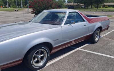 Other Makes Ranchereo 1979