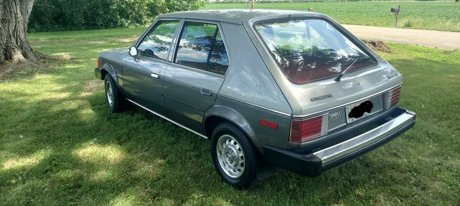Plymouth-Horizon-1985-Hatchback