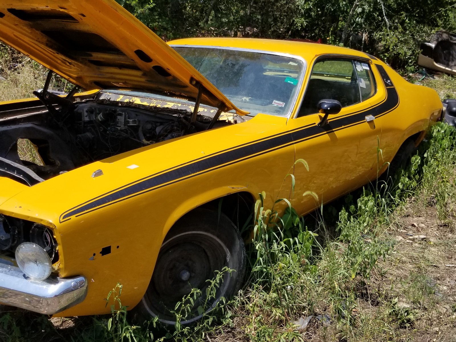 Plymouth-Roadrunner-1973