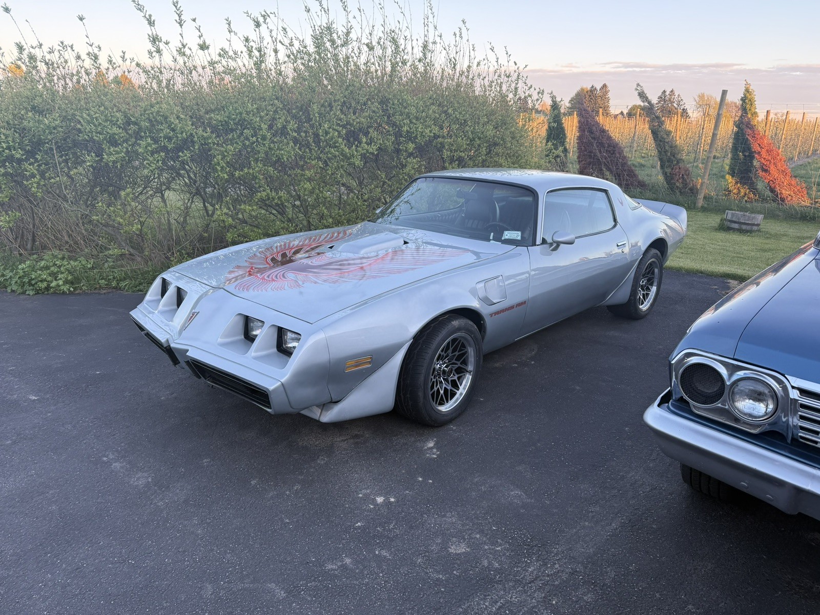 Pontiac Firebird 1981