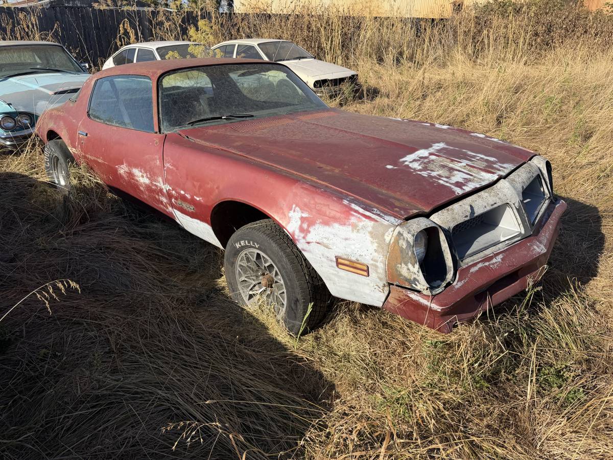 Pontiac-Firebird-400-4-speed-1976