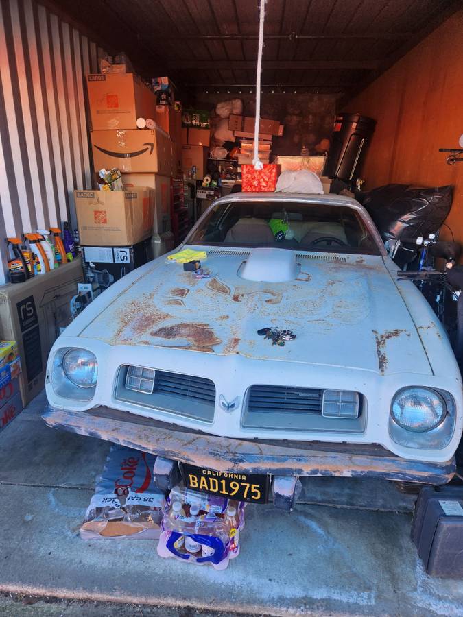 Pontiac-Firebird-trans-am-1975-white