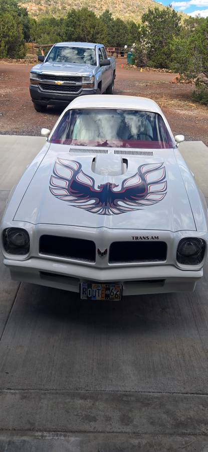 Pontiac-Firebird-trans-am-1976-white
