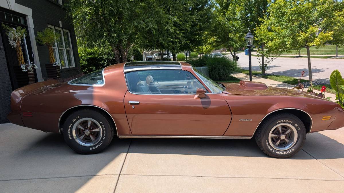 Pontiac-Firebird-trans-am-1979-brown