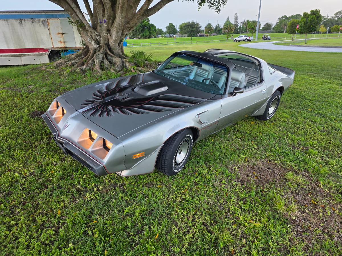 Pontiac-Firebird-trans-am-ws6-1979