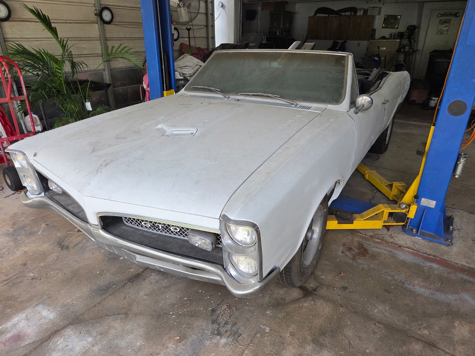 Pontiac-GTO-1967-Convertible