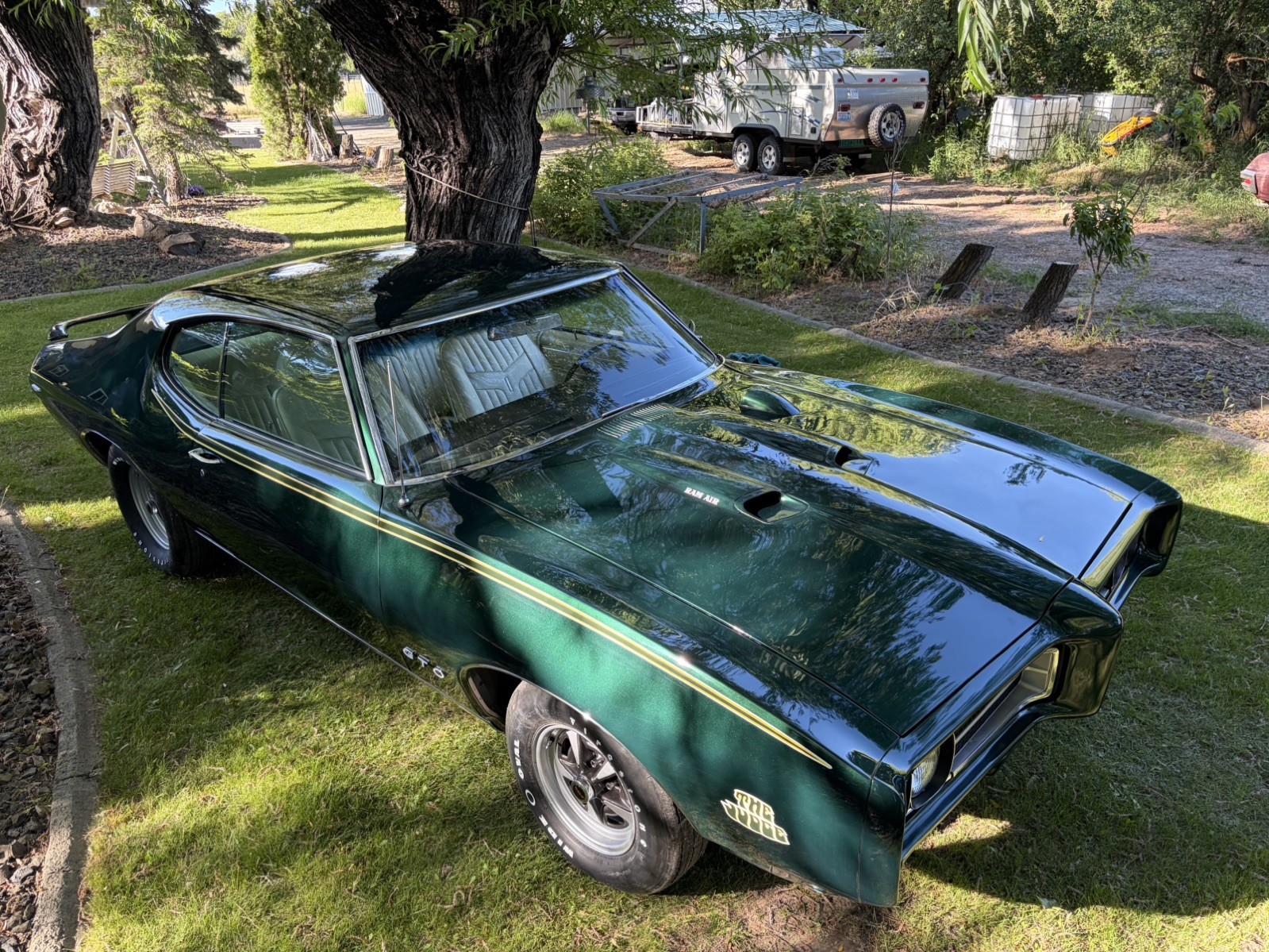 Pontiac GTO 1969