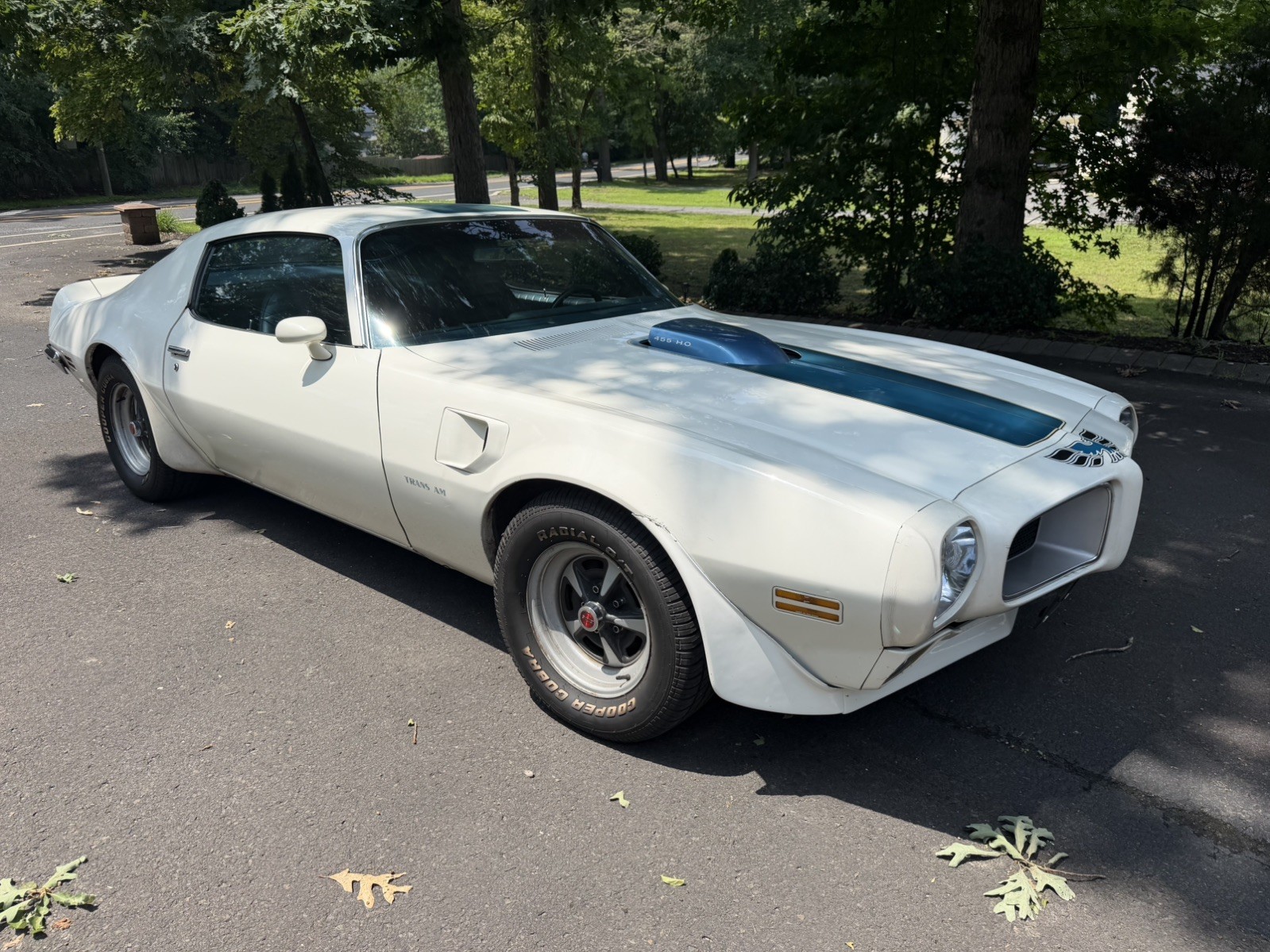 Pontiac-Trans-Am-1971-Coupe-Blue