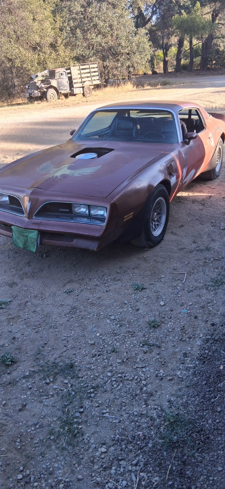 Pontiac-Trans-Am-1978-Black