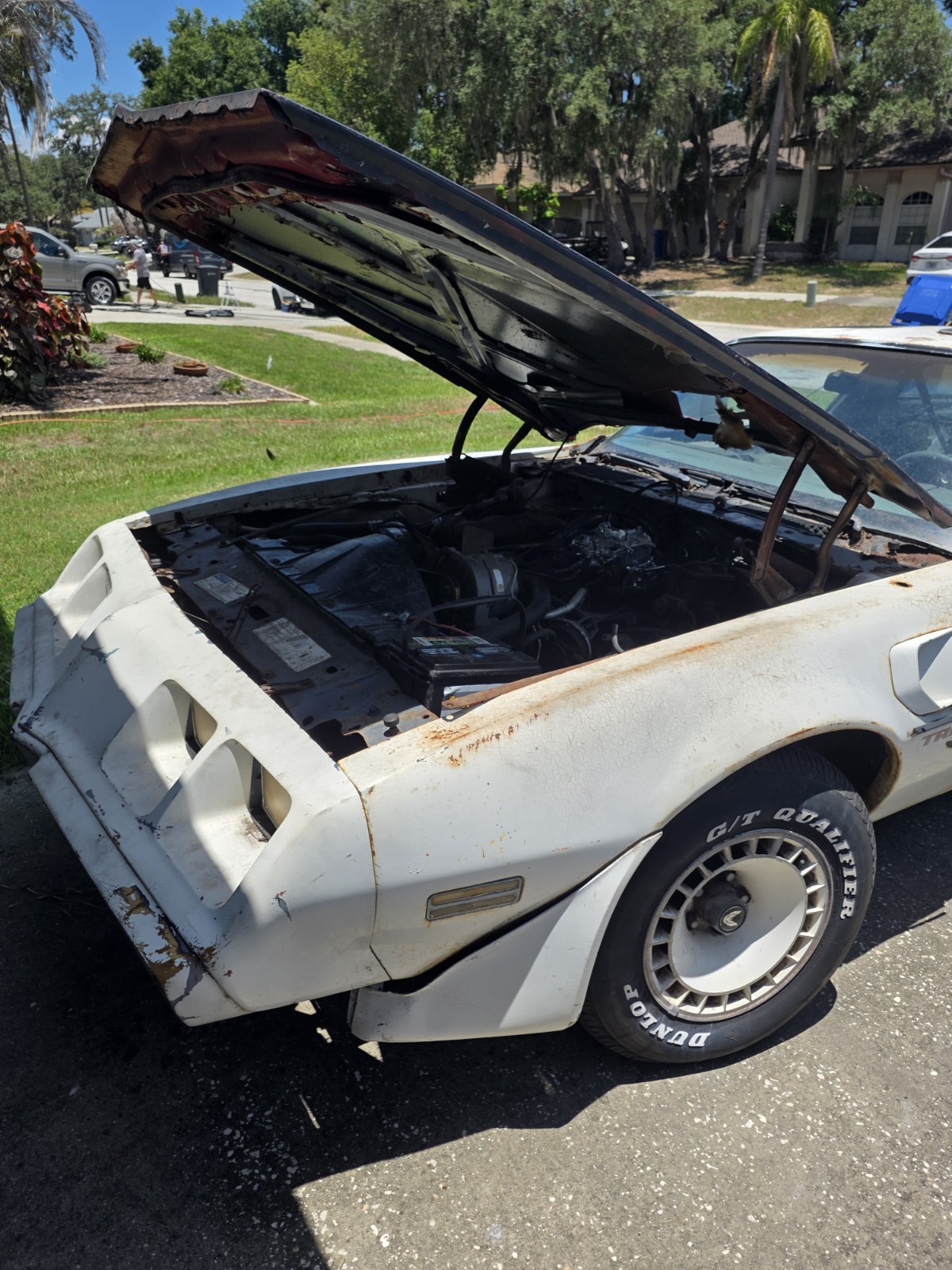 Pontiac-Trans-Am-1980-Coupe-Grey-and-Off-White