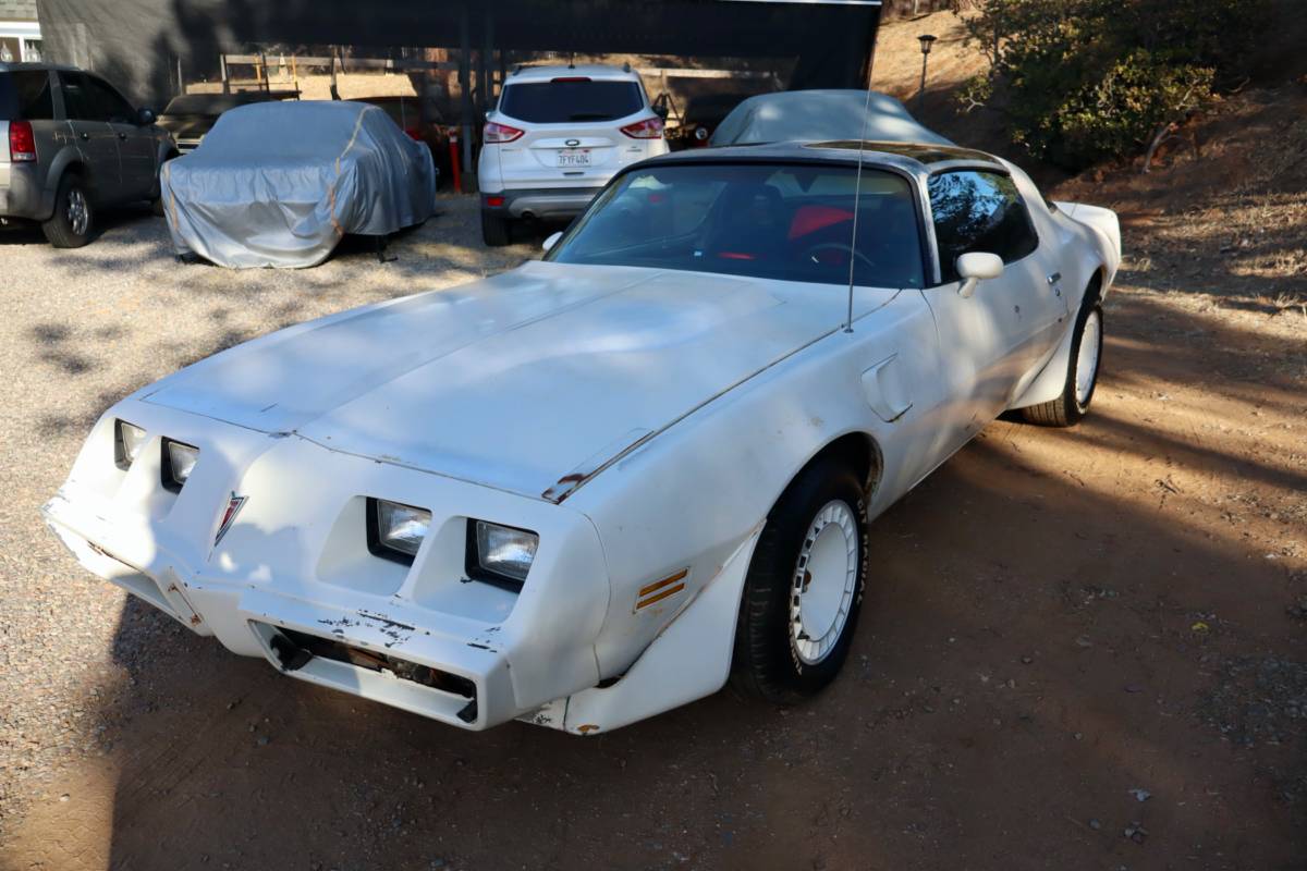 Pontiac-Trans-am-1981