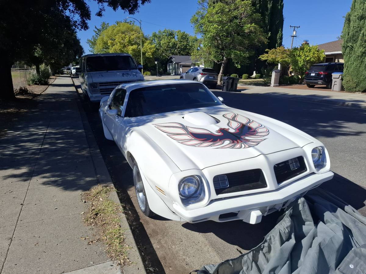 Potiac-trans-am-1975-white