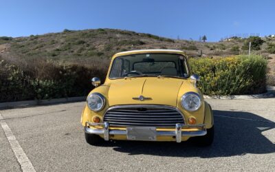 Rover Mini 1987