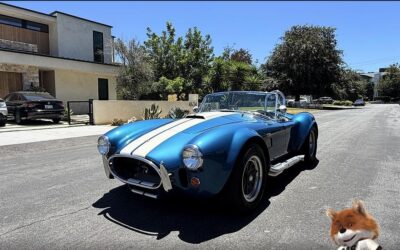 Shelby  1965