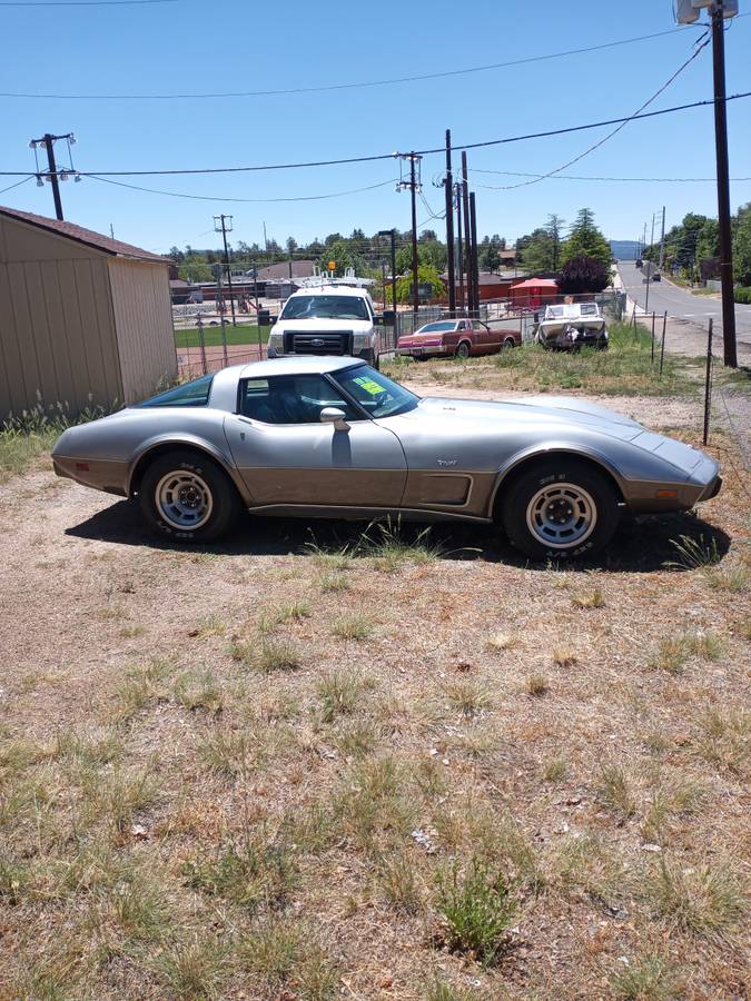 Silver-anniversary-corvette-1978-silver