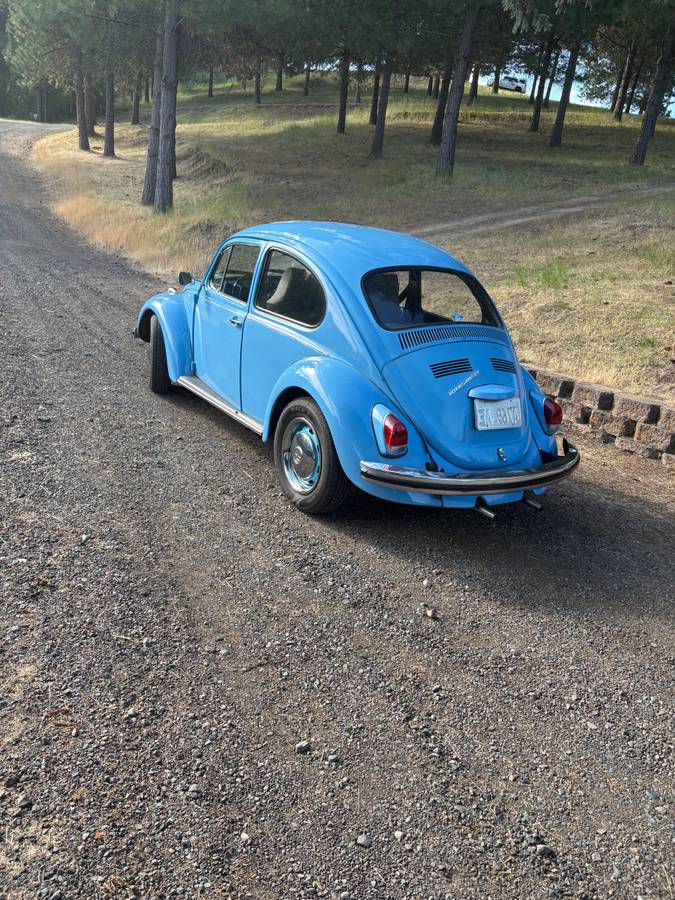 Type-1-beetle-1969