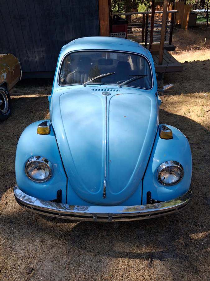 Volk-1131-1970