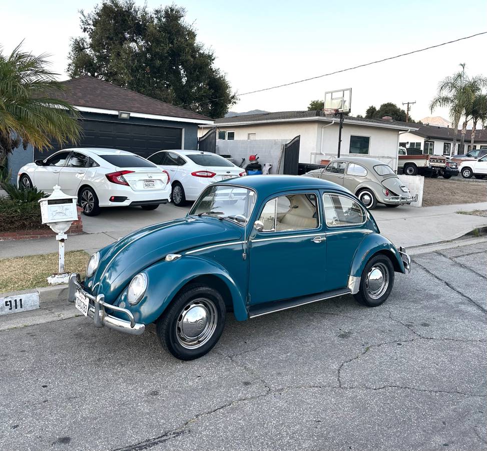 Volkswagen-Beetle-1965
