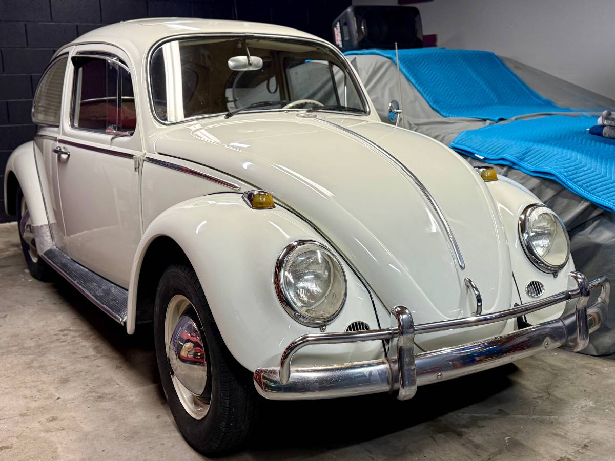 Volkswagen-Beetle-1965