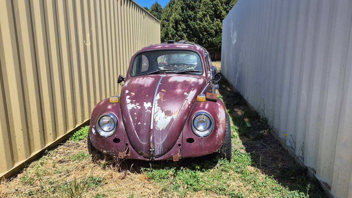 Volkswagen-Beetle-1966