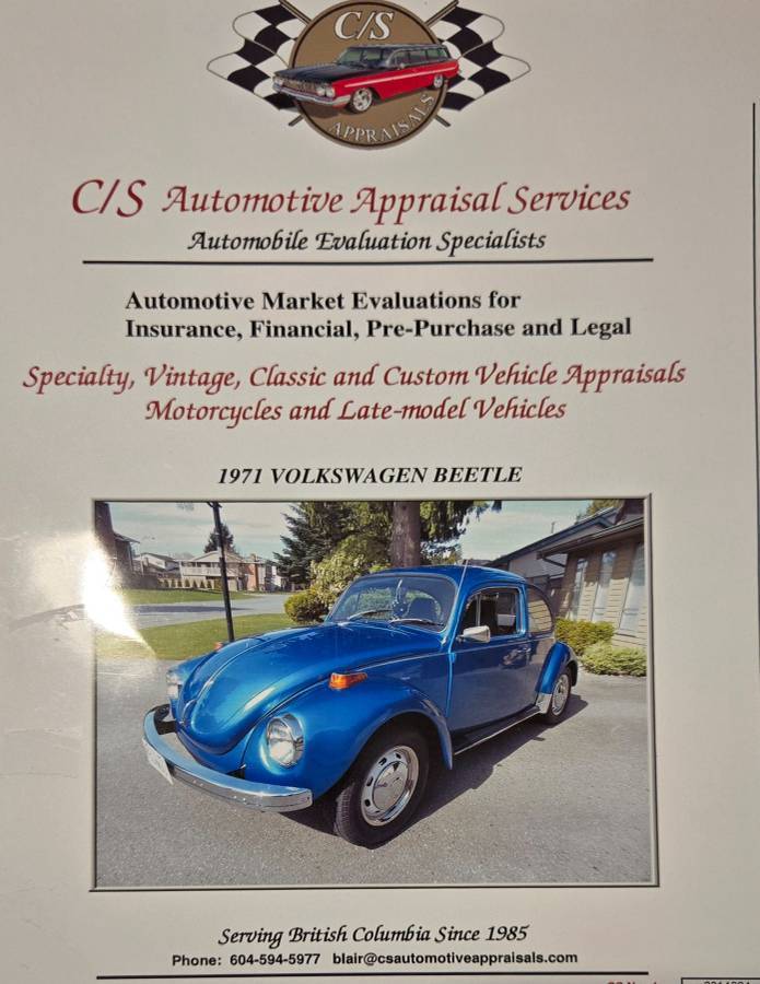 Volkswagen-Beetle-1971-blue