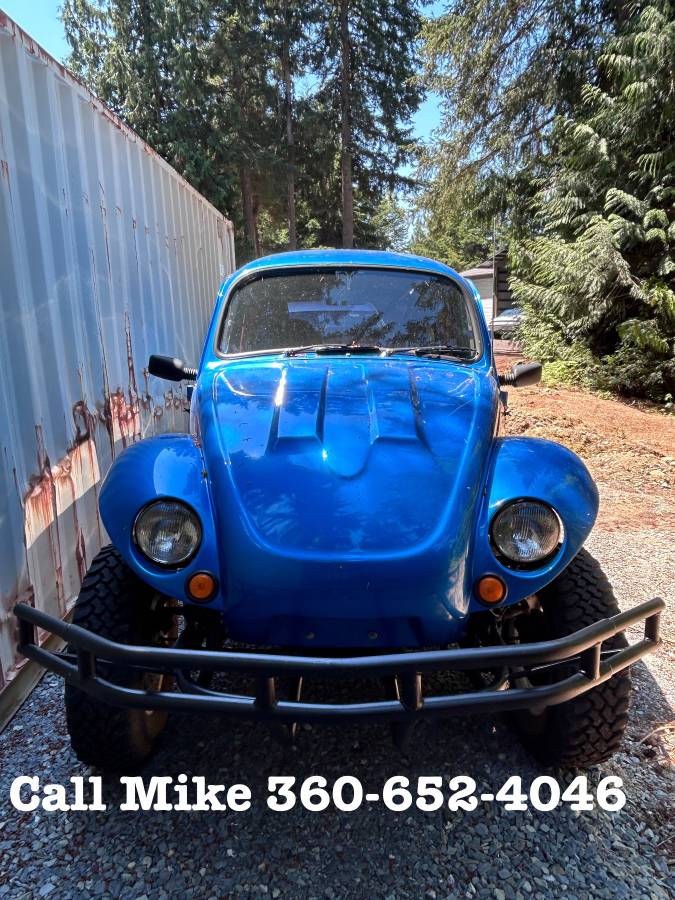 Volkswagen-Beetle-baja-bug-1970-blue