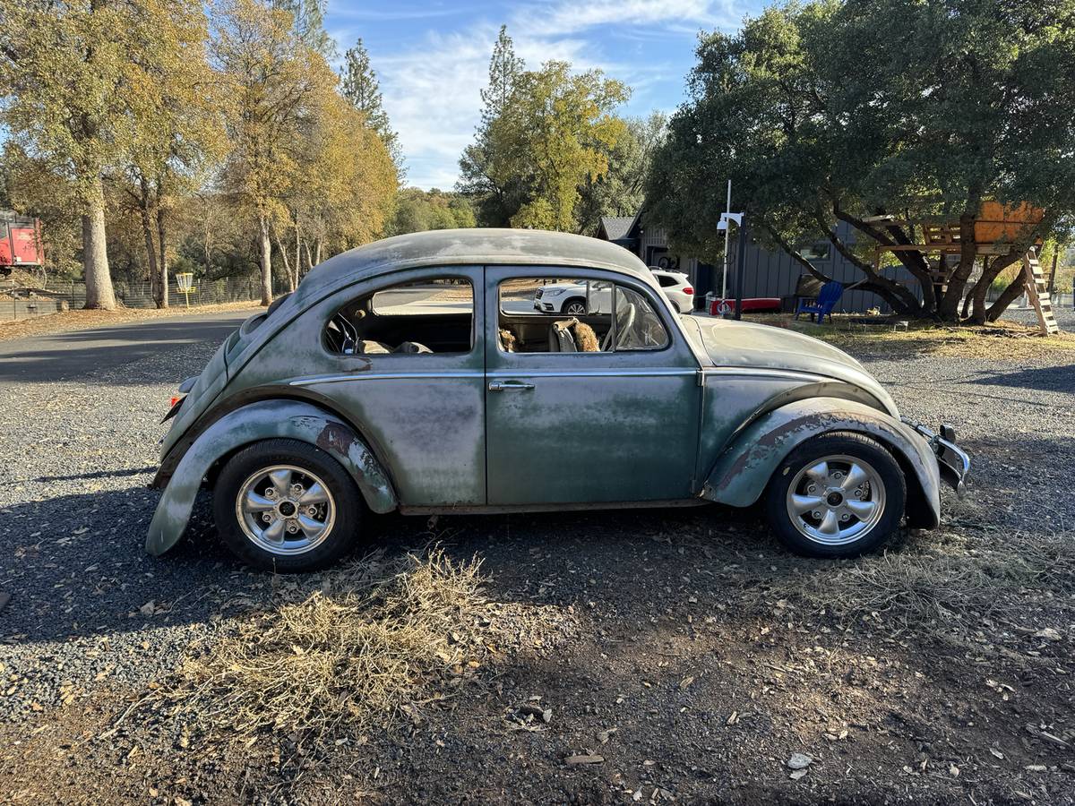 Volkswagen-Beetle-bug-1963