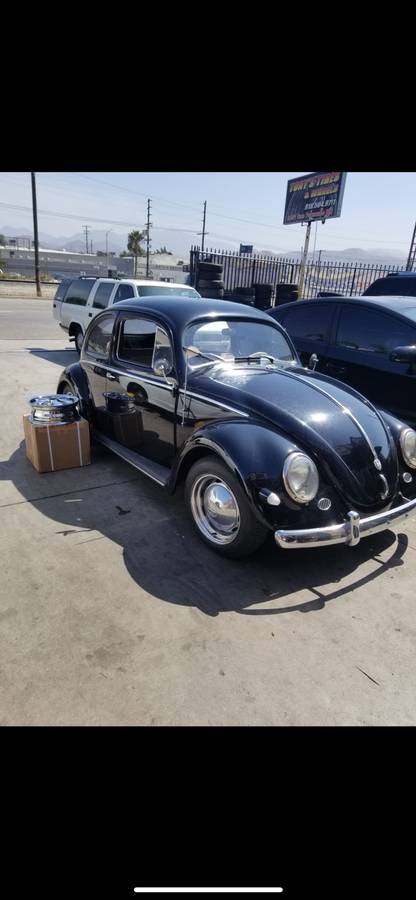 Volkswagen-Bug-1955