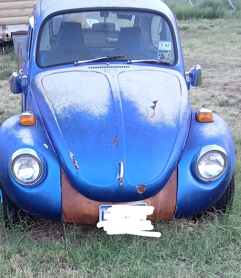 Volkswagen-Super-beetle-1972-blue